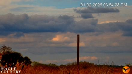 Southwest Florida River Wildlife Live Cams - Jan 2, 2026, 3:54pm EST