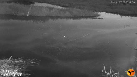 Southwest Florida River Wildlife Live Cams - Sep 25, 2026, 7:56pm EDT