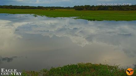 Southwest Florida River Wildlife Live Cams - Sep 30, 2026, 6:22pm EDT