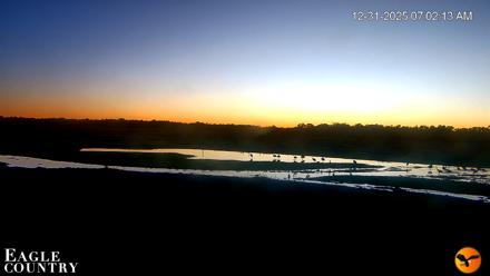 Southwest Florida River Wildlife Live Cams - Dec 31, 2025, 7:02am EST