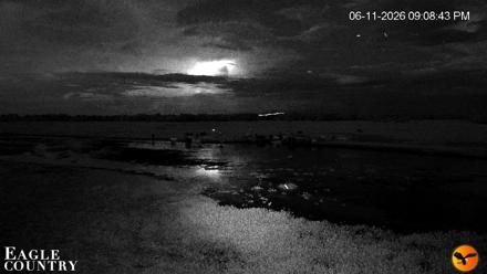 Southwest Florida River Wildlife Live Cams - Jun 11, 2026, 9:09pm EDT