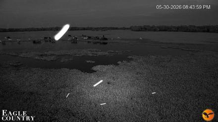 Southwest Florida River Wildlife Live Cams - May 30, 2026, 8:46pm EDT