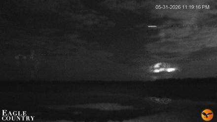 Southwest Florida River Wildlife Live Cams - May 31, 2026, 11:20pm EDT