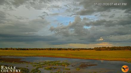 Southwest Florida River Wildlife Live Cams - Jul 2, 2026, 7:49pm EDT