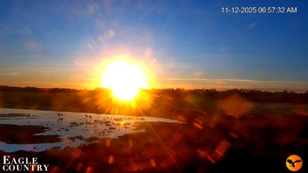 Southwest Florida River Wildlife Live Cams - Nov 12, 2025, 6:58am EST