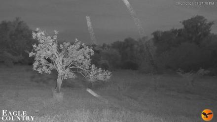 Southwest Florida River Wildlife Live Cams - Aug 23, 2026, 8:28pm EDT
