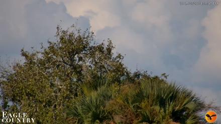Southwest Florida River Wildlife Live Cams - Oct 15, 2026, 4:09pm EDT