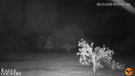 Southwest Florida River Wildlife Live Cams - Aug 23, 2026, 5:22am EDT
