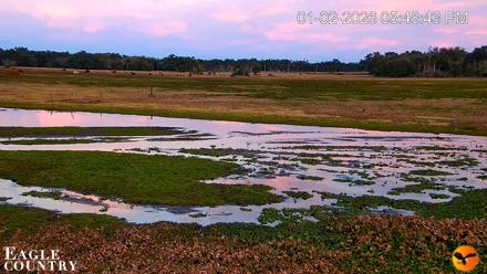 Southwest Florida River Wildlife Live Cams - Jan 2, 2026, 5:49pm EST