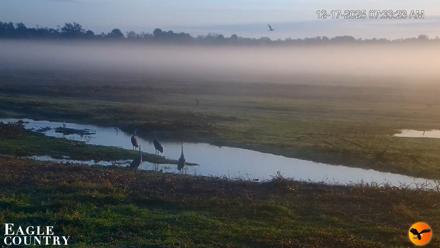 Southwest Florida River Wildlife Live Cams - Dec 17, 2025, 7:47am EST