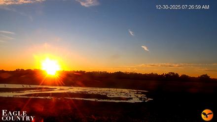 Southwest Florida River Wildlife Live Cams - Dec 30, 2025, 7:27am EST