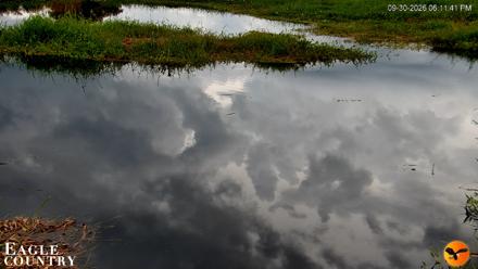 Southwest Florida River Wildlife Live Cams - Sep 30, 2026, 6:12pm EDT