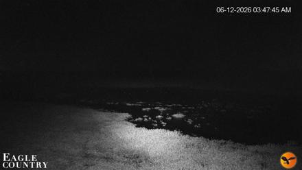 Southwest Florida River Wildlife Live Cams - Jun 12, 2026, 3:48am EDT