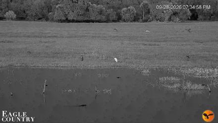 Southwest Florida River Wildlife Live Cams - Sep 28, 2026, 7:35pm EDT