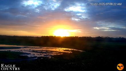 Southwest Florida River Wildlife Live Cams - Dec 2, 2025, 7:10am EST