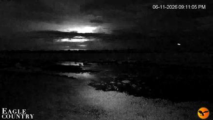 Southwest Florida River Wildlife Live Cams - Jun 11, 2026, 9:11pm EDT