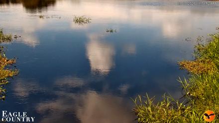 Southwest Florida River Wildlife Live Cams - Sep 10, 2026, 11:33am EDT