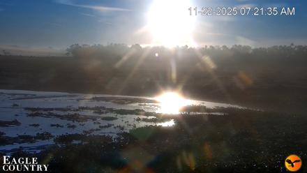 Southwest Florida River Wildlife Live Cams - Nov 22, 2025, 7:23am EST