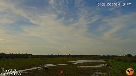 Southwest Florida River Wildlife Live Cams - Aug 22, 2026, 6:42pm EDT
