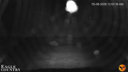 Southwest Florida River Wildlife Live Cams - May 8, 2026, 12:04am EDT