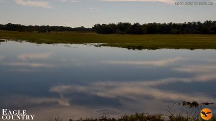 Southwest Florida River Wildlife Live Cams - Sep 27, 2026, 10:13am EDT