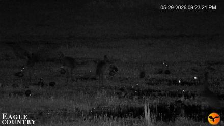 Southwest Florida River Wildlife Live Cams - May 29, 2026, 9:26pm EDT