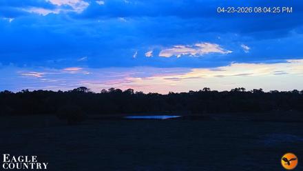 Southwest Florida River Wildlife Live Cams - Apr 23, 2026, 9:34pm EDT