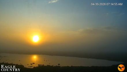 Southwest Florida River Wildlife Live Cams - Apr 30, 2026, 7:43am EDT