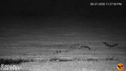 Southwest Florida River Wildlife Live Cams - Sep 27, 2026, 11:38pm EDT