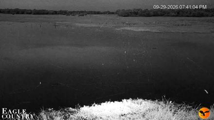Southwest Florida River Wildlife Live Cams - Sep 29, 2026, 7:41pm EDT