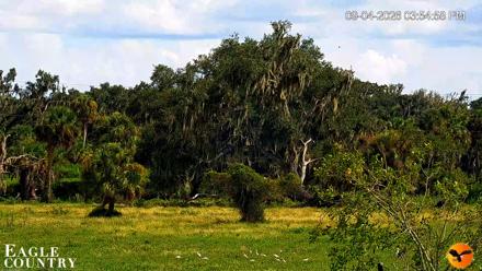 Southwest Florida River Wildlife Live Cams - Sep 4, 2026, 3:55pm EDT