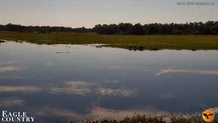 Southwest Florida River Wildlife Live Cams - Sep 27, 2026, 9:34am EDT
