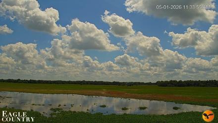 Southwest Florida River Wildlife Live Cams - May 1, 2026, 11:35am EDT