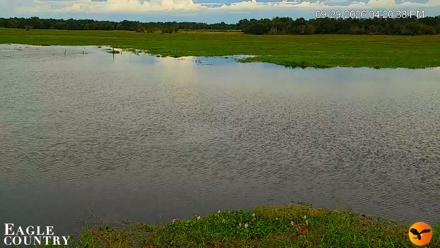 Southwest Florida River Wildlife Live Cams - Sep 29, 2026, 4:21pm EDT