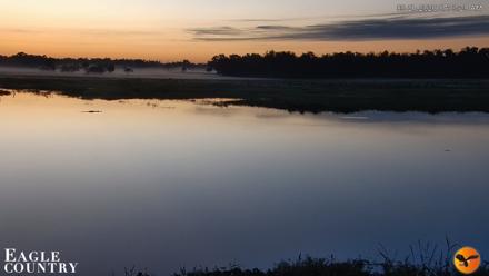 Southwest Florida River Wildlife Live Cams - Sep 27, 2026, 7:03am EDT