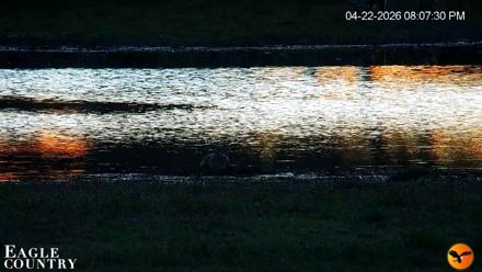 Southwest Florida River Wildlife Live Cams - Apr 22, 2026, 8:08pm EDT