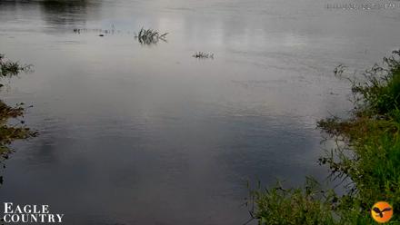Southwest Florida River Wildlife Live Cams - Sep 8, 2026, 2:27pm EDT