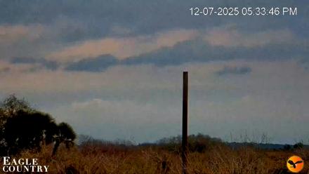 Southwest Florida River Wildlife Live Cams - Dec 7, 2025, 5:37pm EST