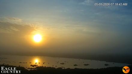 Southwest Florida River Wildlife Live Cams - May 1, 2026, 7:19am EDT