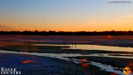 Southwest Florida River Wildlife Live Cams - Jan 28, 2026, 7:27am EST