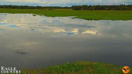 Southwest Florida River Wildlife Live Cams - Sep 30, 2026, 5:28pm EDT