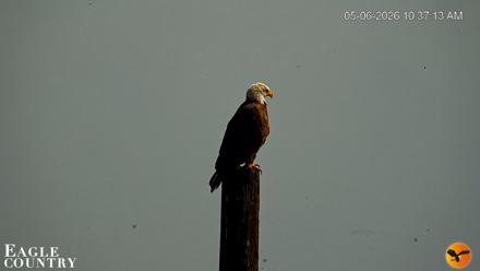 Southwest Florida River Wildlife Live Cams - May 6, 2026, 10:38am EDT