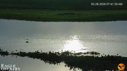 Southwest Florida River Wildlife Live Cams - May 28, 2026, 7:43am EDT