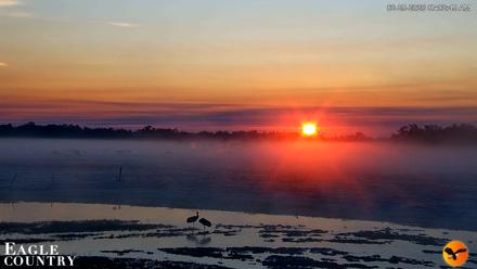 Southwest Florida River Wildlife Live Cams - Feb 25, 2026, 7:03am EST