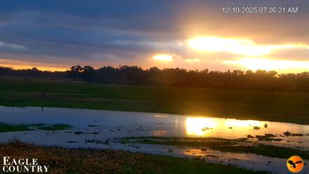 Southwest Florida River Wildlife Live Cams - Dec 10, 2025, 7:27am EST