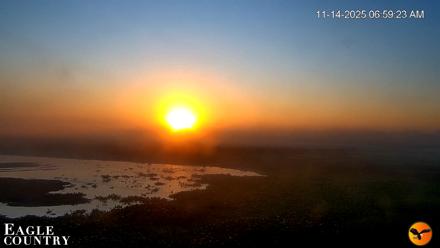 Southwest Florida River Wildlife Live Cams - Nov 14, 2025, 7:00am EST