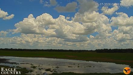 Southwest Florida River Wildlife Live Cams - May 17, 2026, 1:20pm EDT