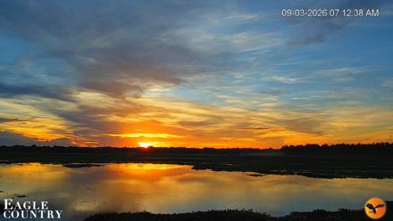 Southwest Florida River Wildlife Live Cams - Sep 3, 2026, 7:13am EDT