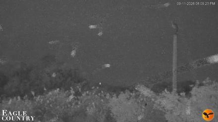 Southwest Florida River Wildlife Live Cams - Sep 11, 2026, 8:09pm EDT