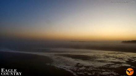 Southwest Florida River Wildlife Live Cams - Feb 16, 2026, 6:53am EST